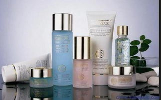 上海伯斯卡國際貨物運(yùn)輸代理公司 一站式進(jìn)口化妝品、食品與家具清關(guān)服務(wù)